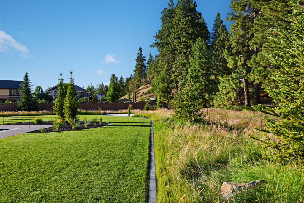 Lush softscape landscape design with green turf and natural plantings